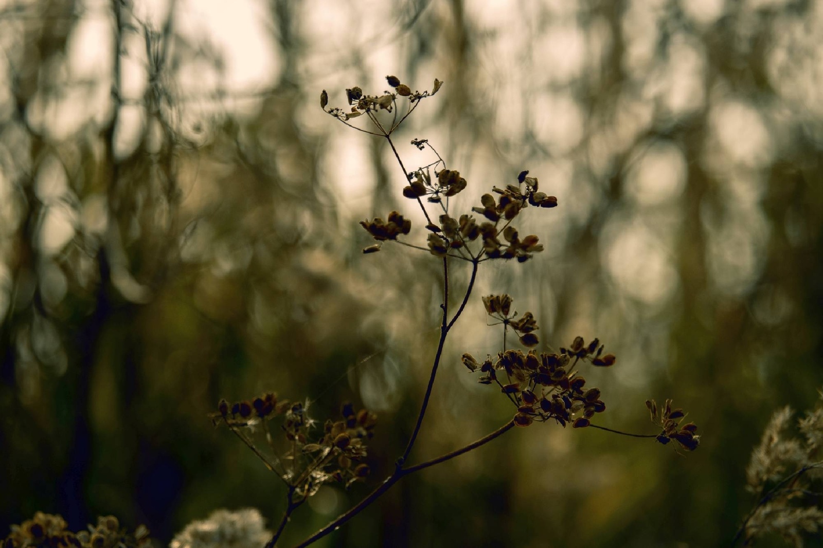 Zdjęcie w galerii na portalu naszwodzislaw.com: Rozpocznij swoją artystyczną przygodę w Akademii Nauk Stosowanych w Raciborzu! wiadomości z regionu