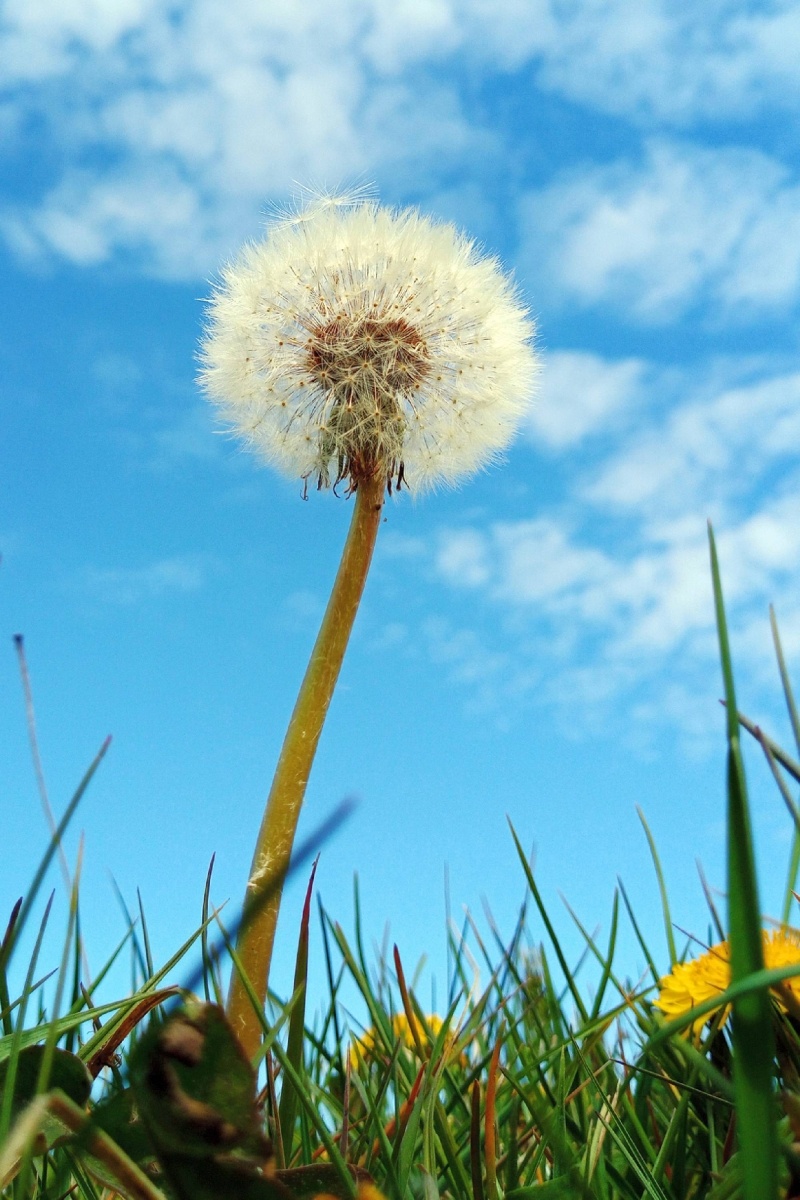 Zdjęcie w galerii na portalu naszwodzislaw.com: Rozpocznij swoją artystyczną przygodę w Akademii Nauk Stosowanych w Raciborzu! wiadomości z regionu