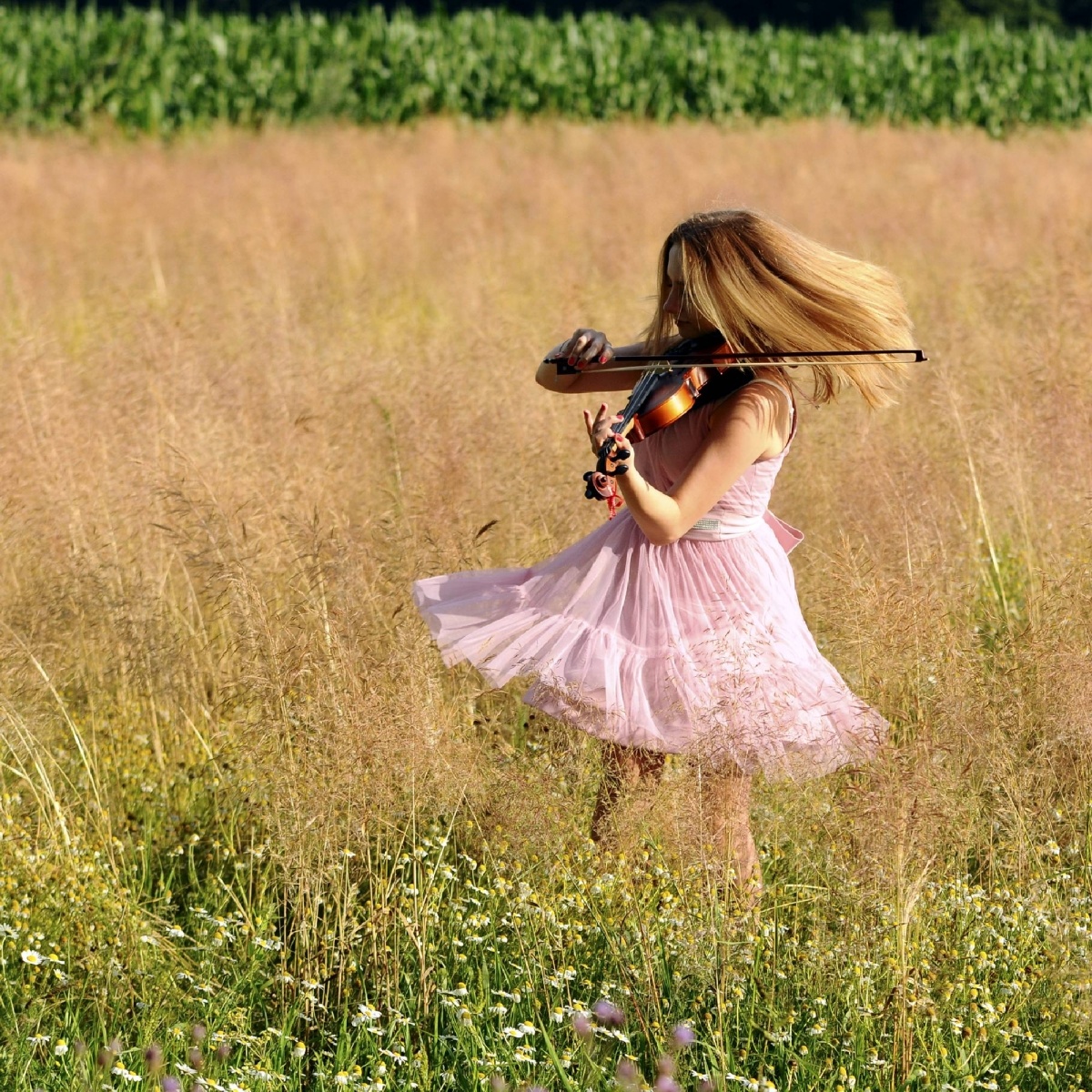 Zdjęcie w galerii na portalu naszwodzislaw.com: Rozpocznij swoją artystyczną przygodę w Akademii Nauk Stosowanych w Raciborzu! wiadomości z regionu