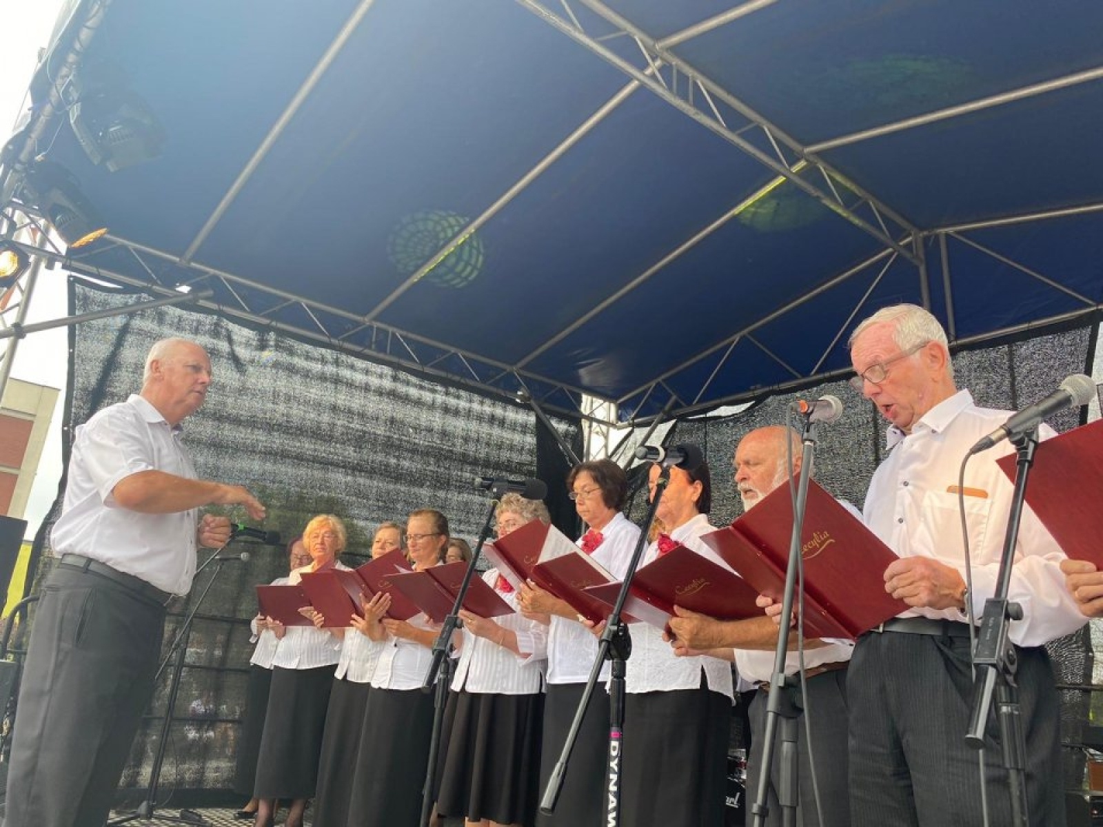 Zdjęcie w galerii na portalu naszwodzislaw.com: Przeżyjmy to jeszcze raz. Filmowe podsumowanie XXX Dni Rydułtów wiadomości z regionu