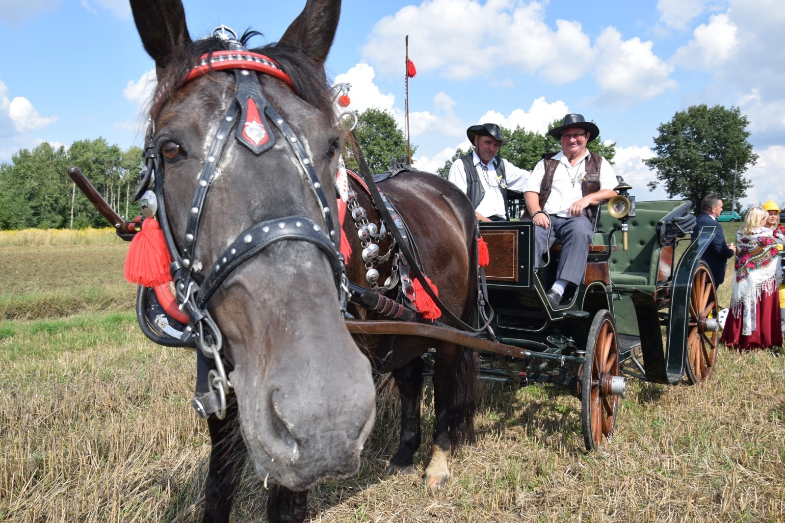 Zdjęcie w galerii na portalu naszwodzislaw.com: Piękne święto na 50-lecie, czyli dożynki Gminy Mszana 2023 [FOTO] wiadomości z regionu