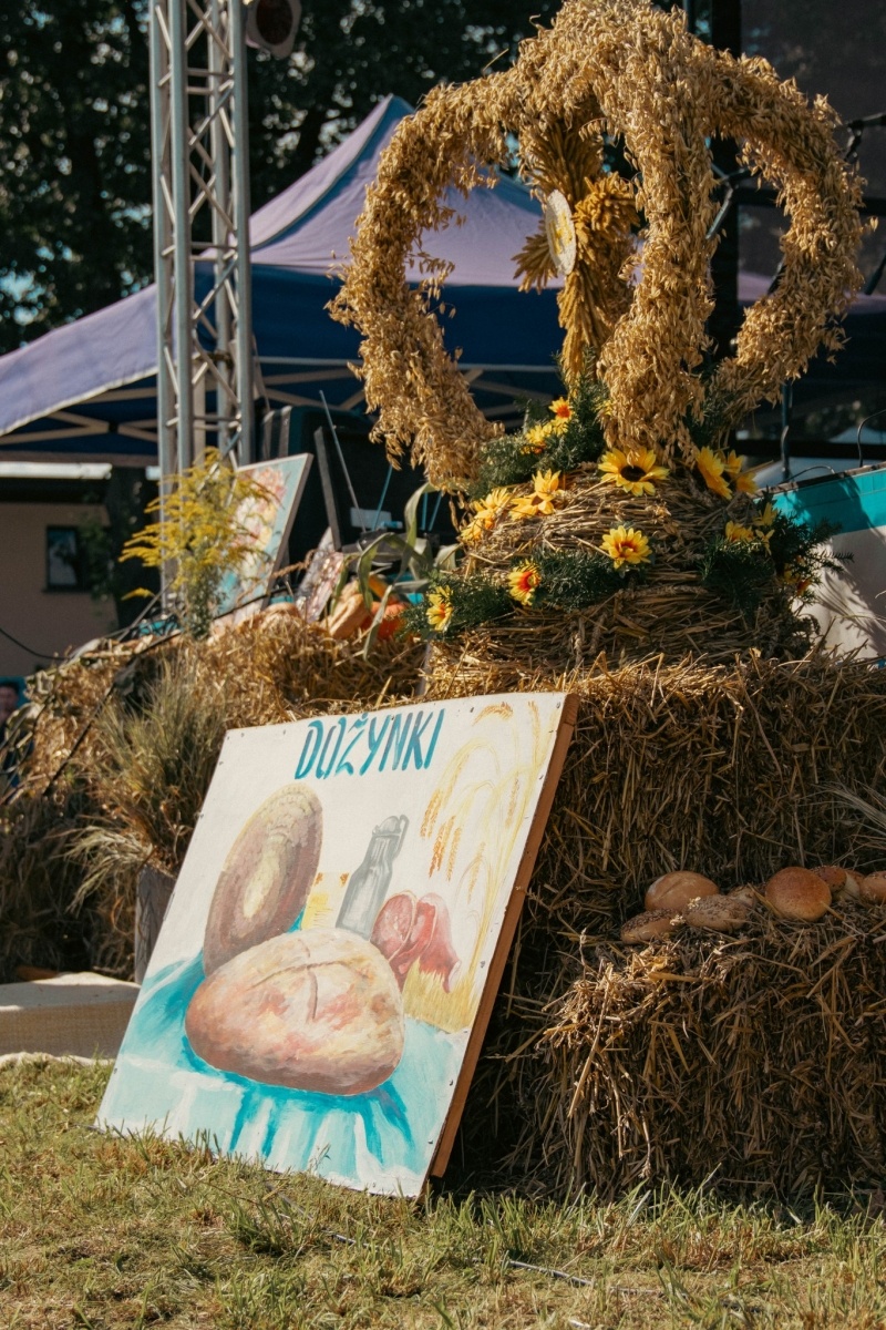 Zdjęcie w galerii na portalu naszwodzislaw.com: To była fantastyczna niedziela w dzielnicy Kokoszyce [FOTO] wiadomości z regionu