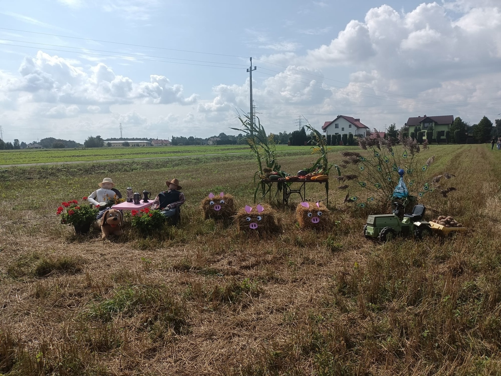 Zdjęcie w galerii na portalu naszwodzislaw.com: Dożynki Gminy Mszana. Która posesja była najlepiej przystrojona? wiadomości z regionu