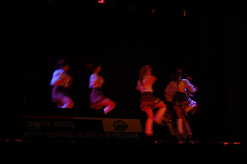 Zdjęcie w galerii na portalu naszwodzislaw.com: Trzeba poznać swoje i inne wiadomości z regionu