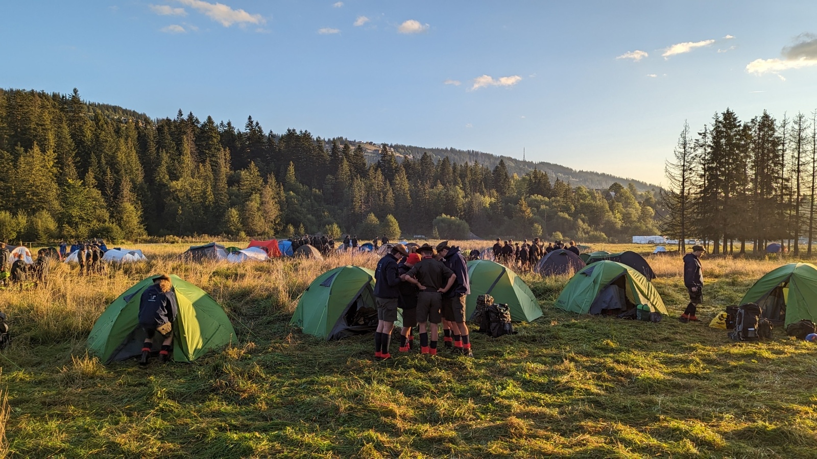 Zdjęcie w galerii na portalu naszwodzislaw.com: Wodzisławscy harcerze znów najlepsi w Polsce wiadomości z regionu