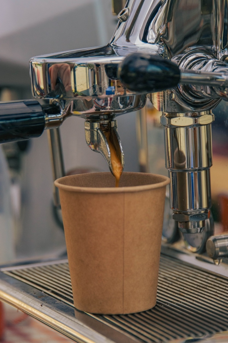 Zdjęcie w galerii na portalu naszwodzislaw.com: Wyjątkowa odsłona DzieJesie(ń) Festiwalu za nami [FOTO] wiadomości z regionu