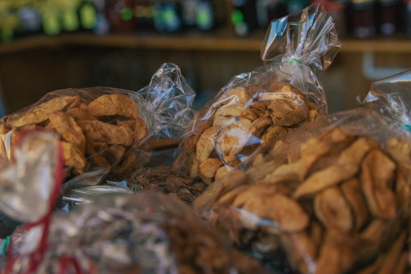 Zdjęcie w galerii na portalu naszwodzislaw.com: Wyjątkowa odsłona DzieJesie(ń) Festiwalu za nami [FOTO] wiadomości z regionu