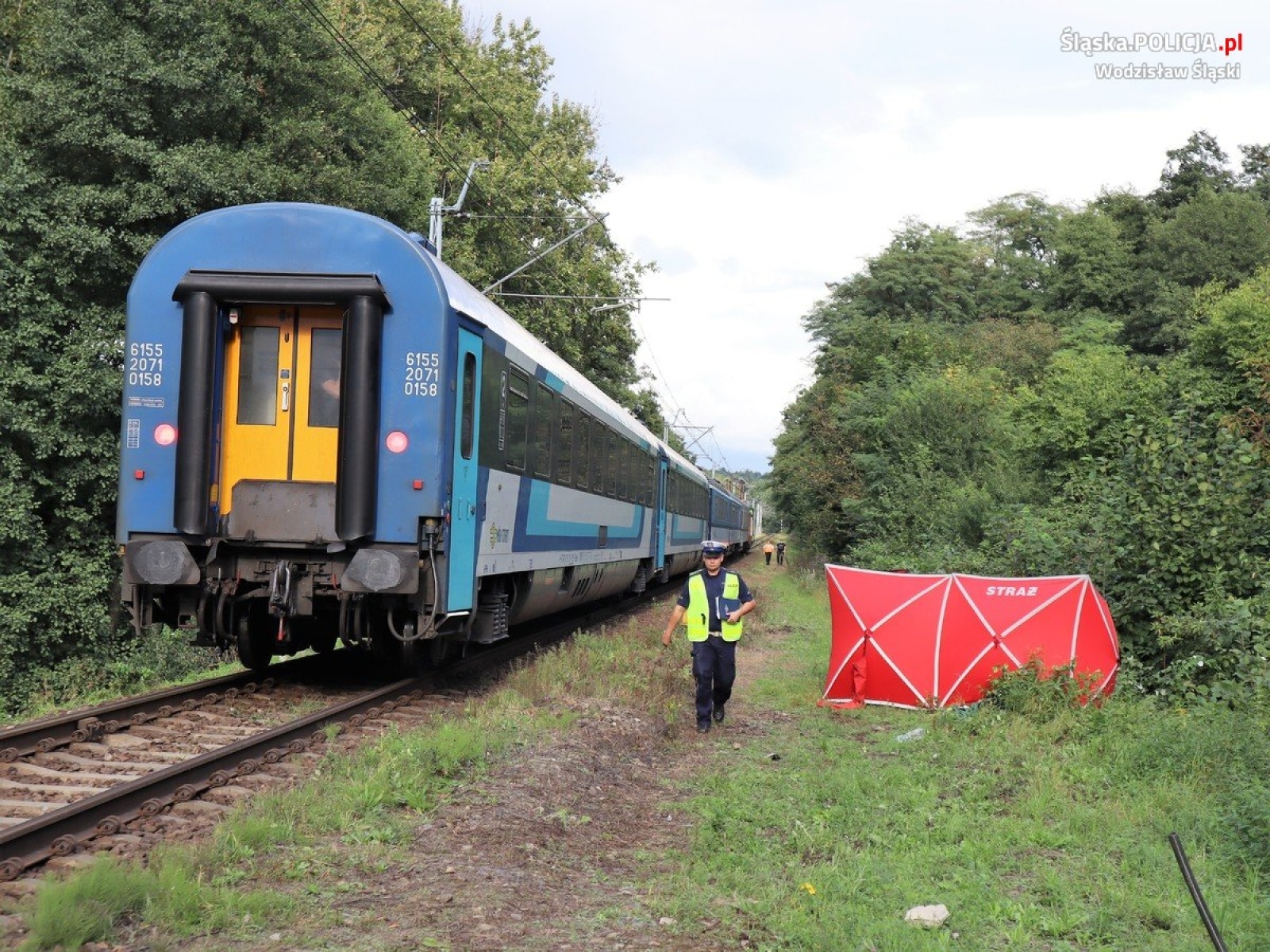 Zdjęcie w galerii na portalu naszwodzislaw.com: Śmiertelne potrącenie 70-latka. Policja wyjaśnia okoliczności zdarzenia wiadomości z regionu