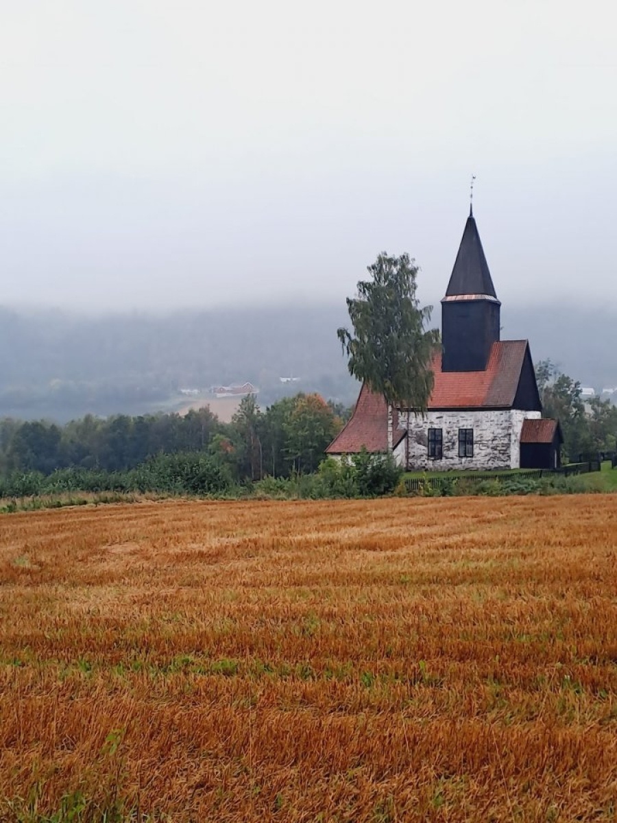 Zdjęcie w galerii na portalu naszwodzislaw.com: Partycypacja społeczna. Urzędnicy z Rydułtów z wizytą w Norwegii [FOTO] wiadomości z regionu