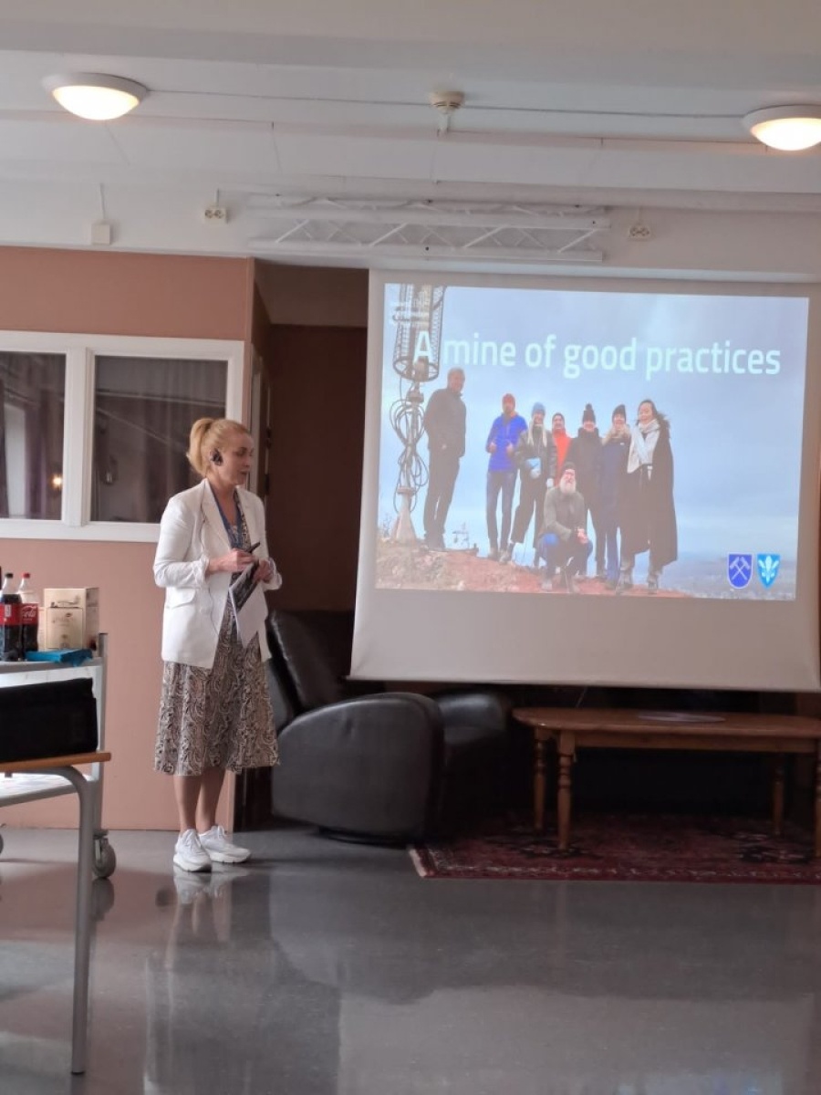 Zdjęcie w galerii na portalu naszwodzislaw.com: Partycypacja społeczna. Urzędnicy z Rydułtów z wizytą w Norwegii [FOTO] wiadomości z regionu