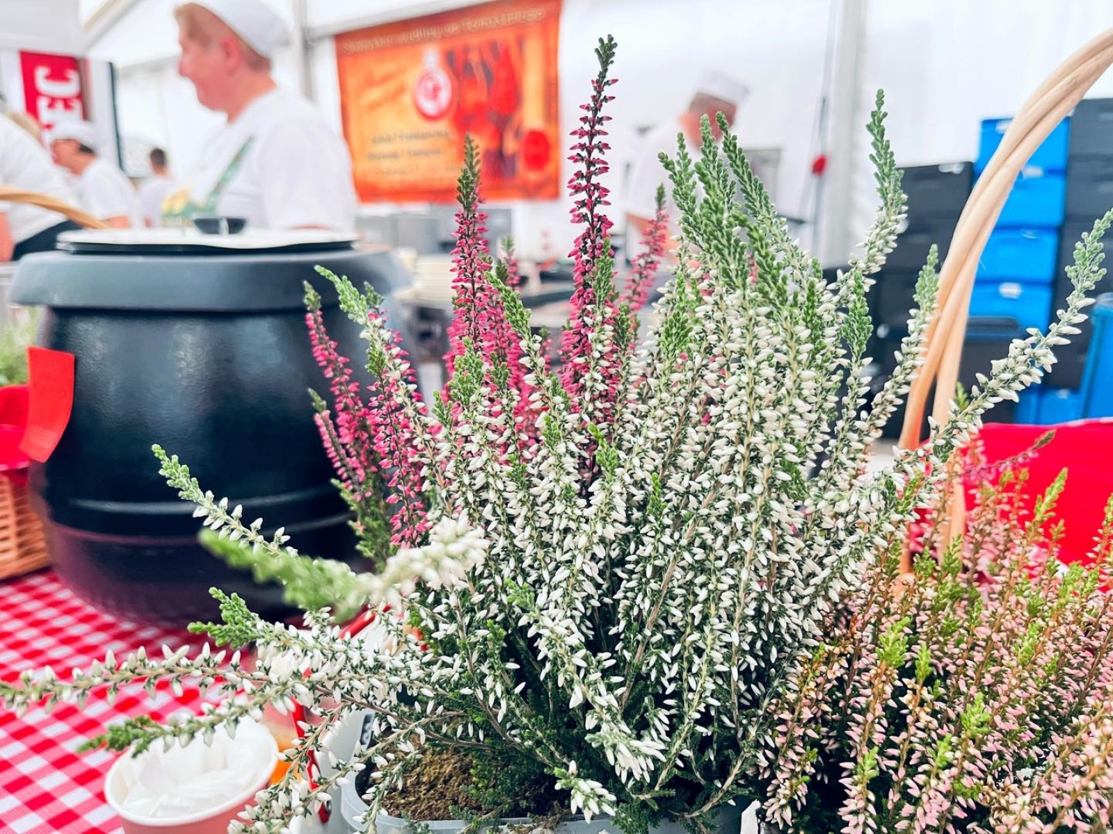 Zdjęcie w galerii na portalu naszwodzislaw.com: Wodzisławski Oktoberfest 2023 przeszedł do historii [FOTO] wiadomości z regionu