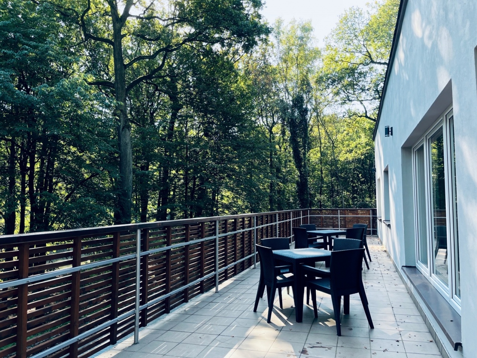 Zdjęcie w galerii na portalu naszwodzislaw.com: Syrenka oferuje sale na wynajem wiadomości z regionu