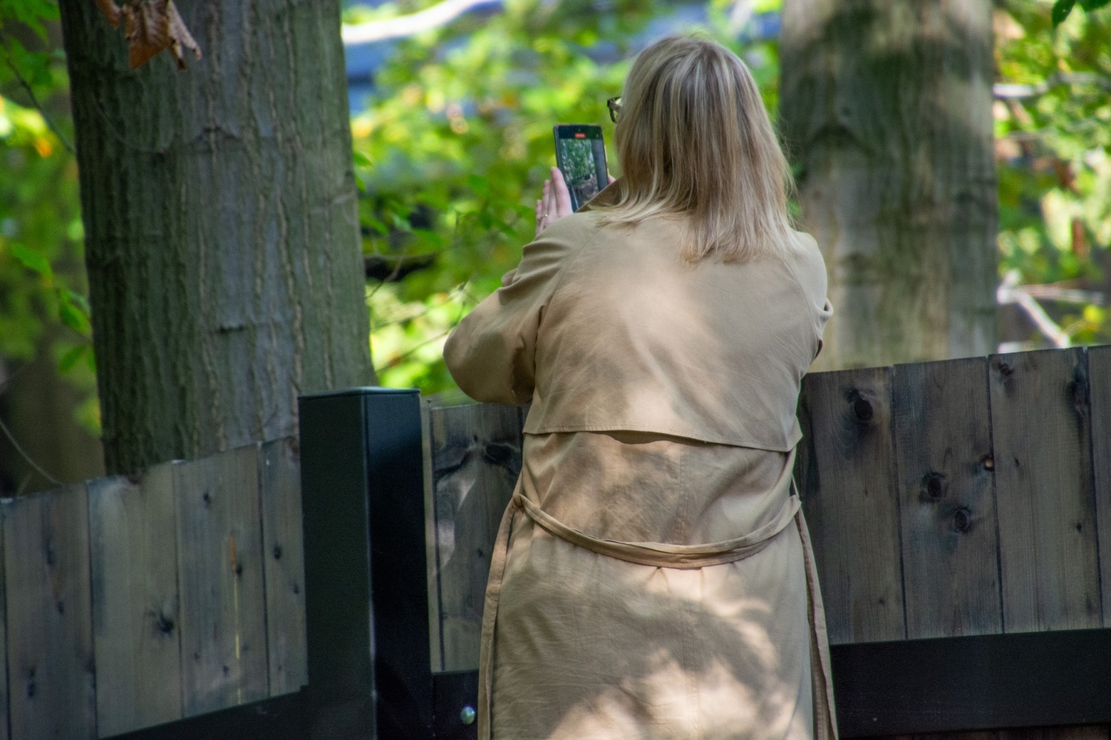 Zdjęcie w galerii na portalu naszwodzislaw.com: Król puszczy wrócił nad górną Odrę. Żubrowisko w Raciborzu Brzeziu zasiedlone [FOTO i WIDEO] wiadomości z regionu