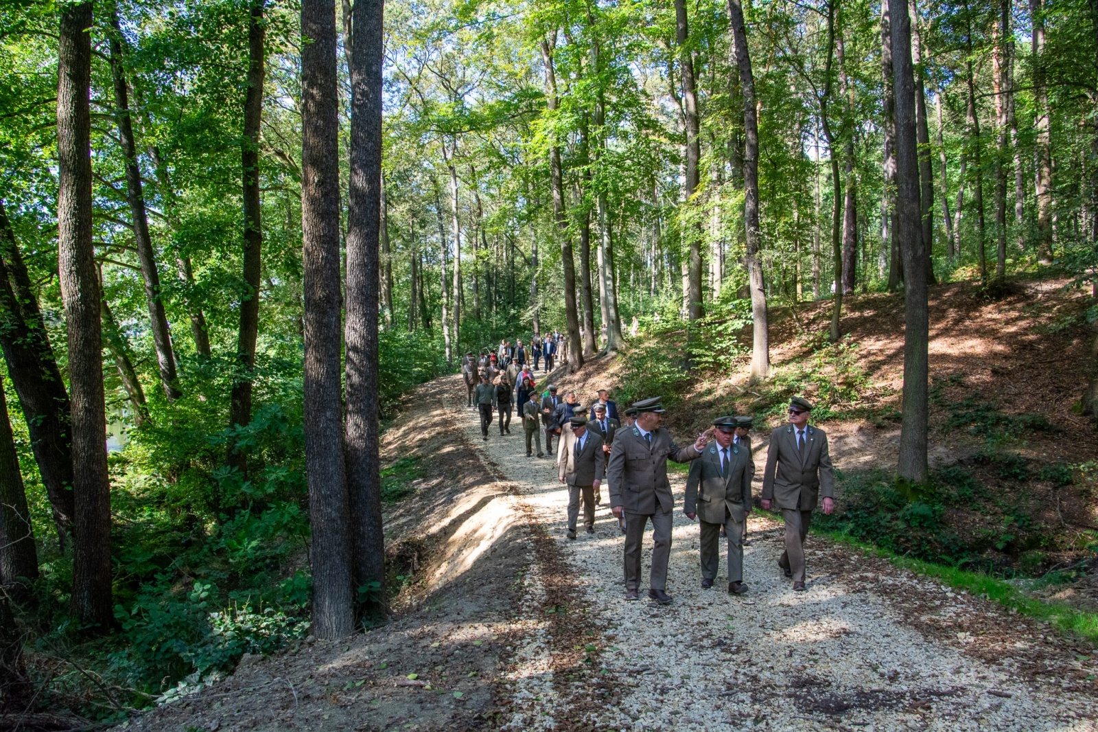 Zdjęcie w galerii na portalu naszwodzislaw.com: Król puszczy wrócił nad górną Odrę. Żubrowisko w Raciborzu Brzeziu zasiedlone [FOTO i WIDEO] wiadomości z regionu