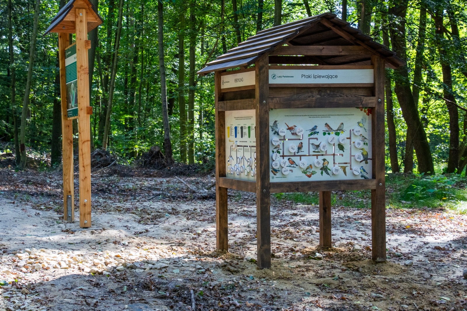 Zdjęcie w galerii na portalu naszwodzislaw.com: Król puszczy wrócił nad górną Odrę. Żubrowisko w Raciborzu Brzeziu zasiedlone [FOTO i WIDEO] wiadomości z regionu