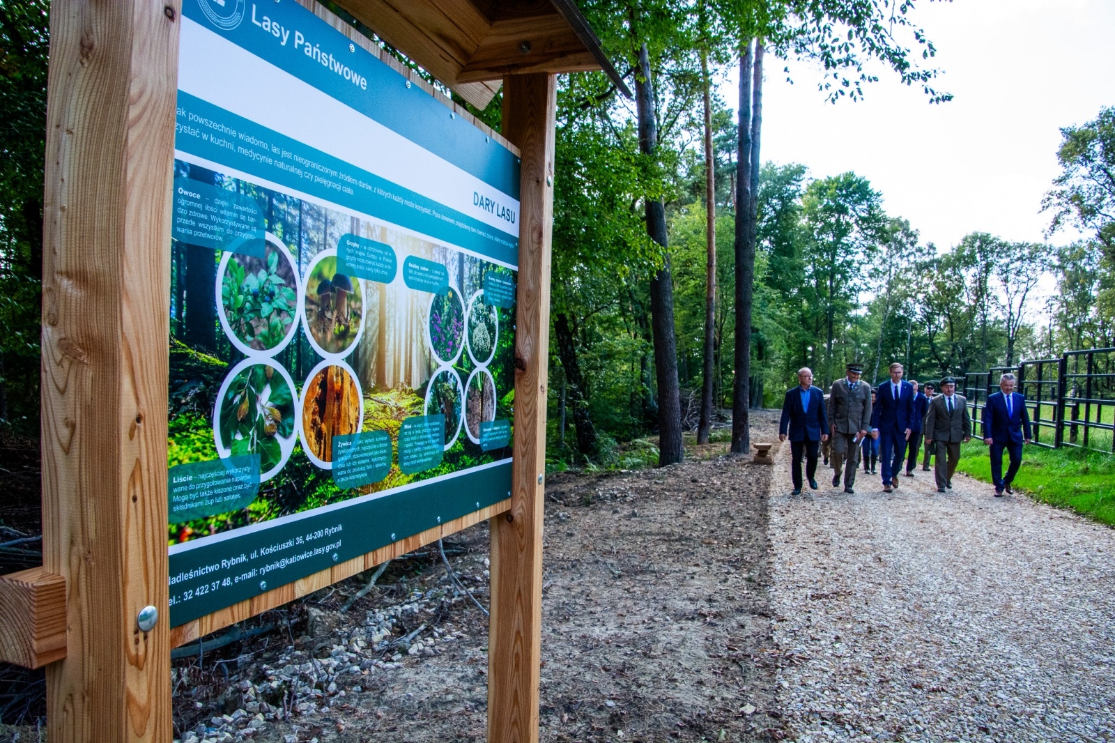 Zdjęcie w galerii na portalu naszwodzislaw.com: Król puszczy wrócił nad górną Odrę. Żubrowisko w Raciborzu Brzeziu zasiedlone [FOTO i WIDEO] wiadomości z regionu