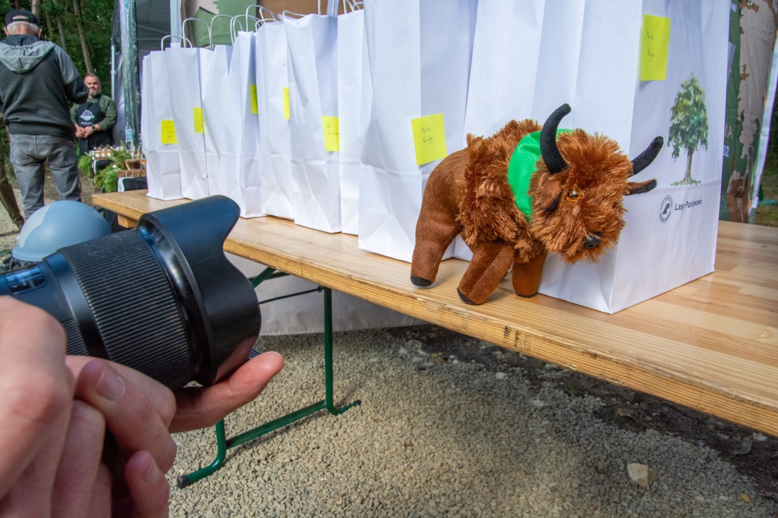 Zdjęcie w galerii na portalu naszwodzislaw.com: Król puszczy wrócił nad górną Odrę. Żubrowisko w Raciborzu Brzeziu zasiedlone [FOTO i WIDEO] wiadomości z regionu