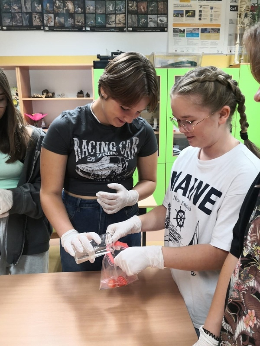 Zdjęcie w galerii na portalu naszwodzislaw.com: Jesienna gołkowicka Noc Naukowców [FOTO] wiadomości z regionu