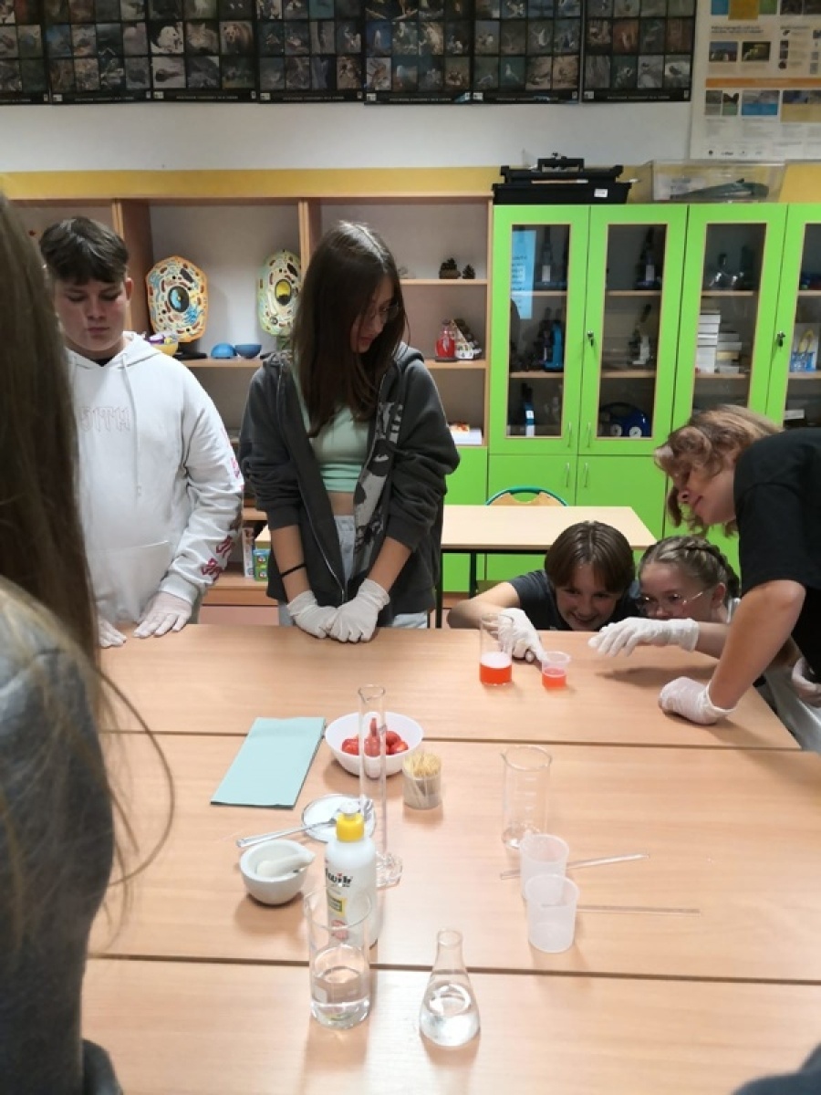 Zdjęcie w galerii na portalu naszwodzislaw.com: Jesienna gołkowicka Noc Naukowców [FOTO] wiadomości z regionu