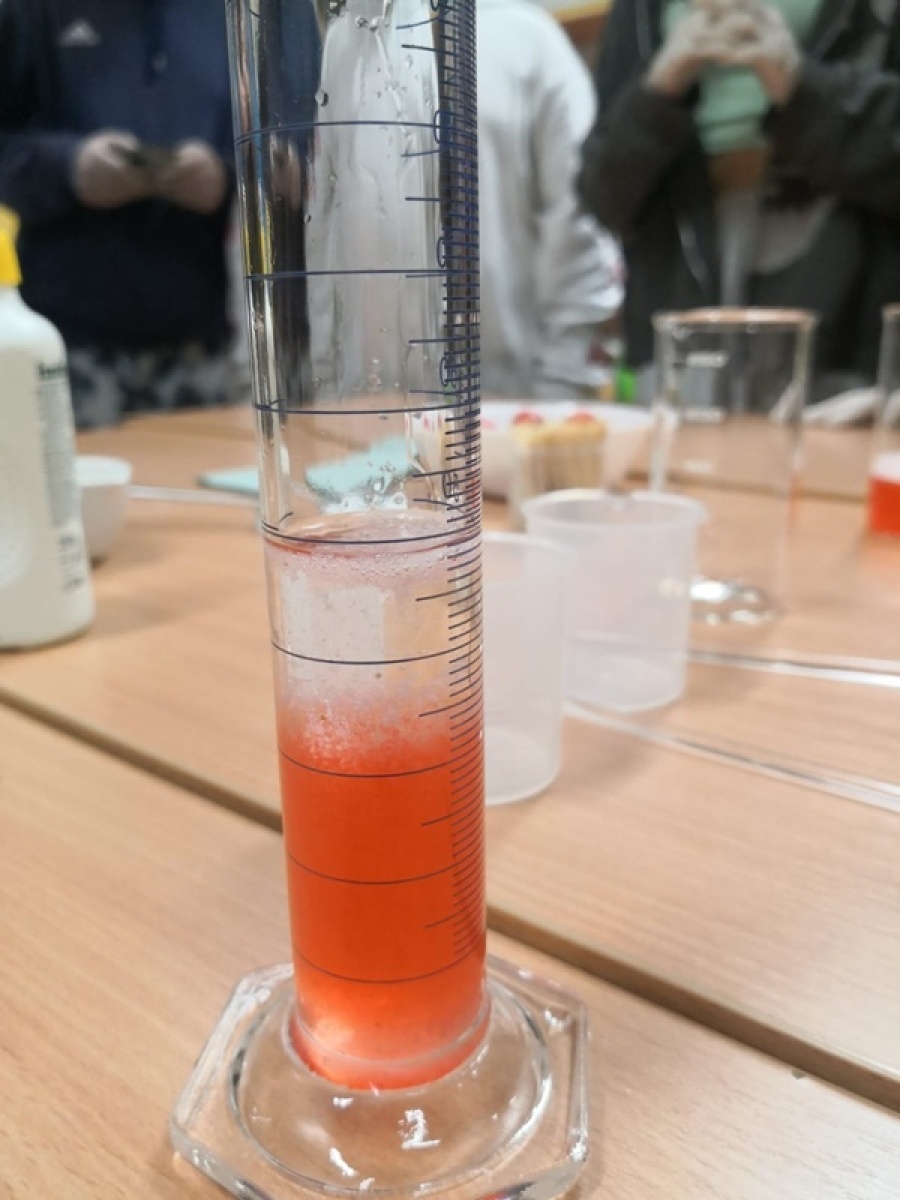 Zdjęcie w galerii na portalu naszwodzislaw.com: Jesienna gołkowicka Noc Naukowców [FOTO] wiadomości z regionu