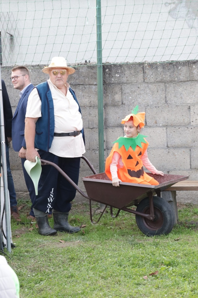 Zdjęcie w galerii na portalu naszwodzislaw.com: Festiwal Dyniowe Love w Osinach [FOTO] wiadomości z regionu