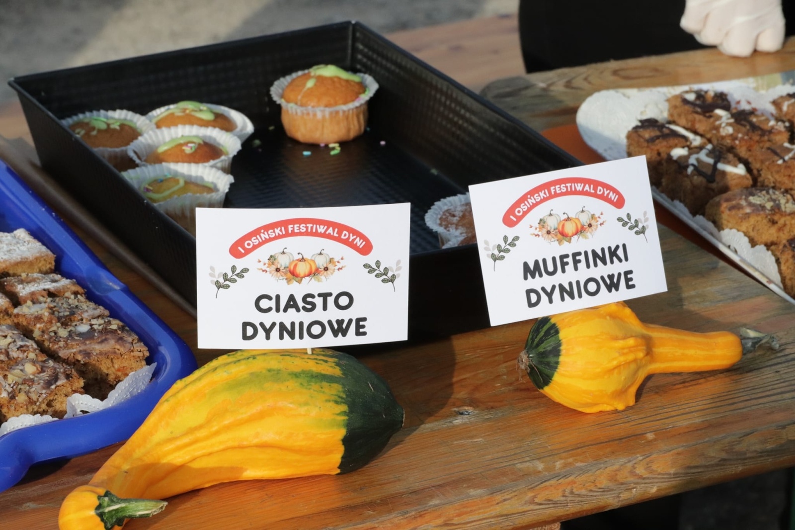 Zdjęcie w galerii na portalu naszwodzislaw.com: Festiwal Dyniowe Love w Osinach [FOTO] wiadomości z regionu