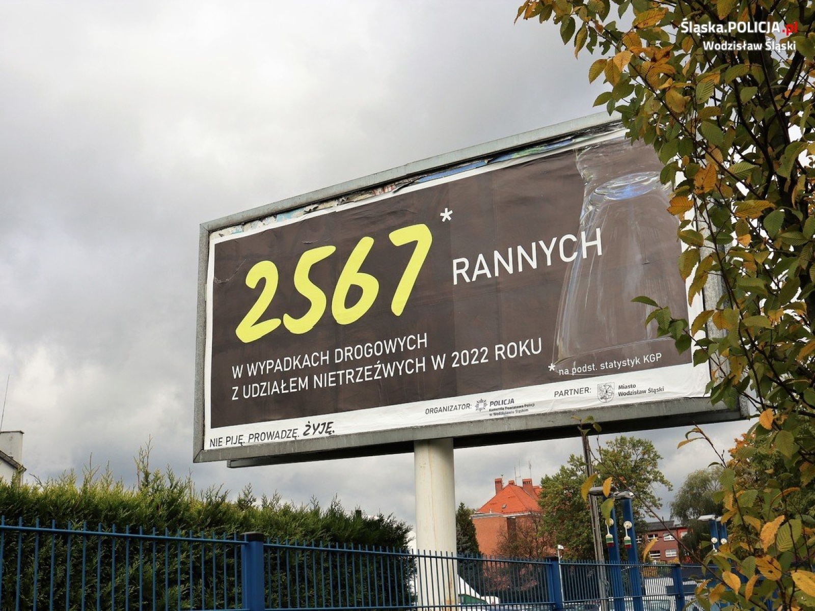 Zdjęcie w galerii na portalu naszwodzislaw.com: Nie piję, prowadzę, żyję! Kampania wodzisławskiej policji wiadomości z regionu