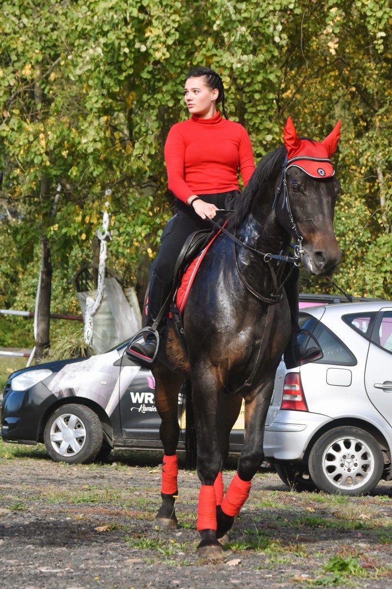 Zdjęcie w galerii na portalu naszwodzislaw.com: Pogonią za lisem zakończyli sezon jeździecki wiadomości z regionu