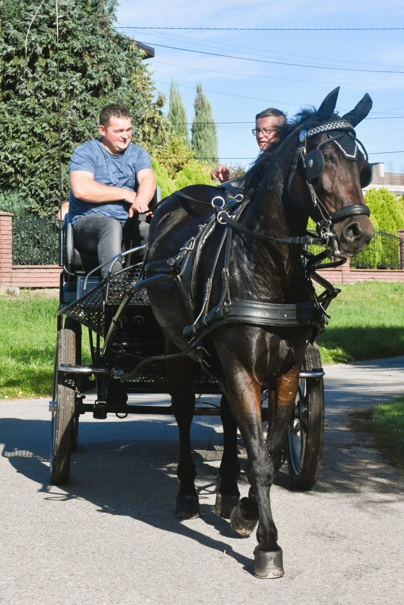Zdjęcie w galerii na portalu naszwodzislaw.com: Pogonią za lisem zakończyli sezon jeździecki wiadomości z regionu
