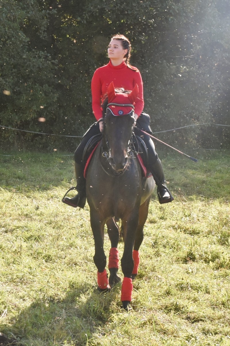 Zdjęcie w galerii na portalu naszwodzislaw.com: Pogonią za lisem zakończyli sezon jeździecki wiadomości z regionu