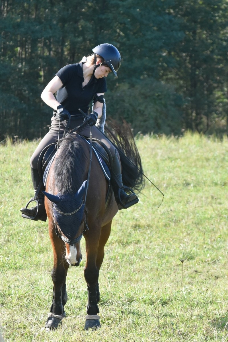 Zdjęcie w galerii na portalu naszwodzislaw.com: Pogonią za lisem zakończyli sezon jeździecki wiadomości z regionu