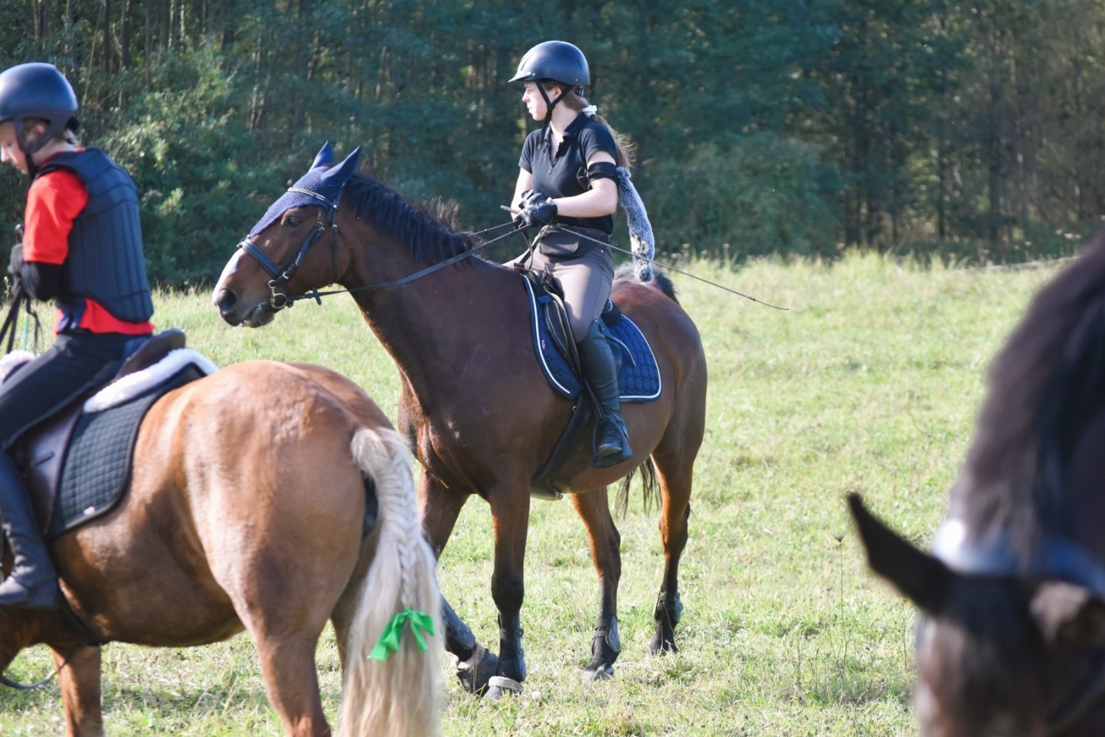 Zdjęcie w galerii na portalu naszwodzislaw.com: Pogonią za lisem zakończyli sezon jeździecki wiadomości z regionu