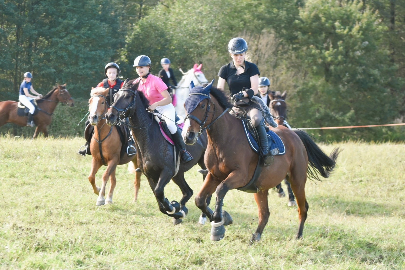 Zdjęcie w galerii na portalu naszwodzislaw.com: Pogonią za lisem zakończyli sezon jeździecki wiadomości z regionu