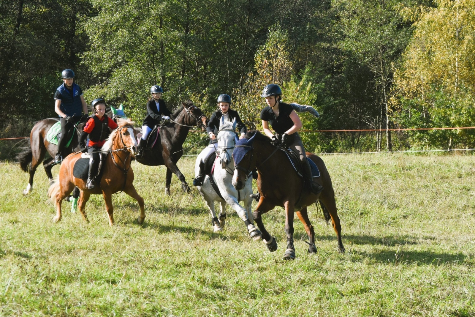 Zdjęcie w galerii na portalu naszwodzislaw.com: Pogonią za lisem zakończyli sezon jeździecki wiadomości z regionu