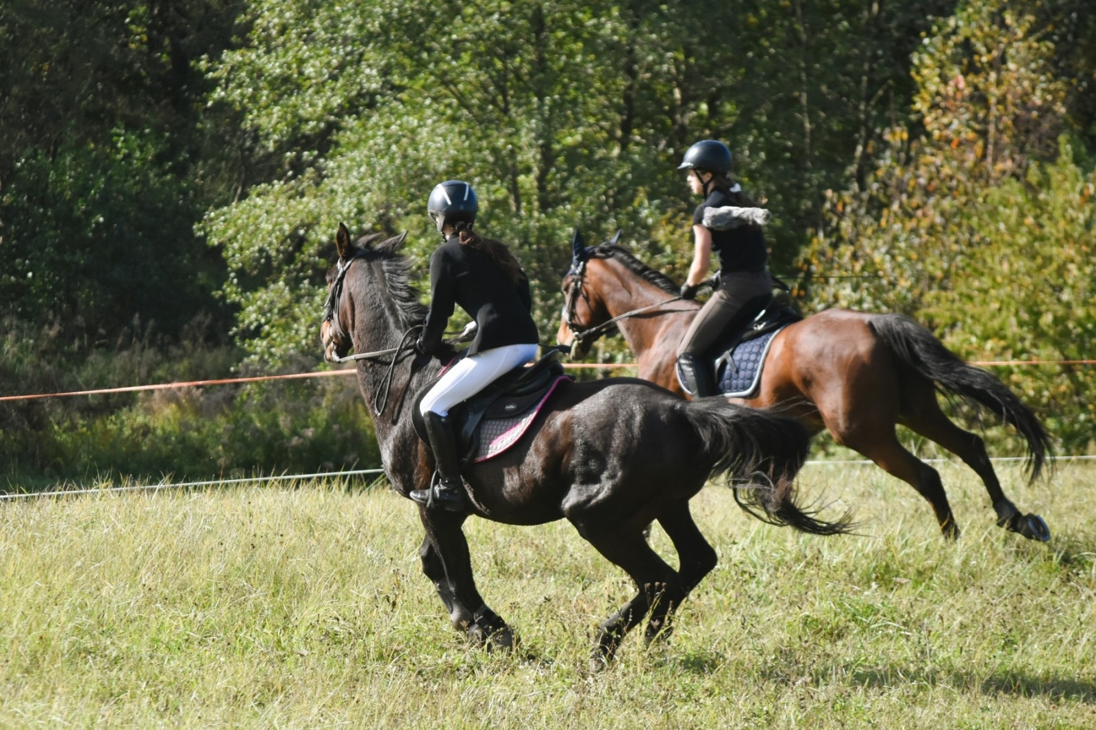Zdjęcie w galerii na portalu naszwodzislaw.com: Pogonią za lisem zakończyli sezon jeździecki wiadomości z regionu