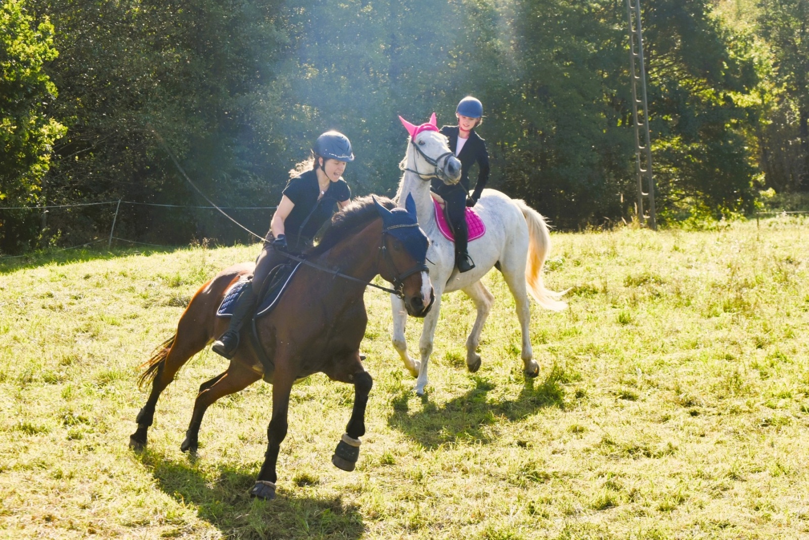 Zdjęcie w galerii na portalu naszwodzislaw.com: Pogonią za lisem zakończyli sezon jeździecki wiadomości z regionu