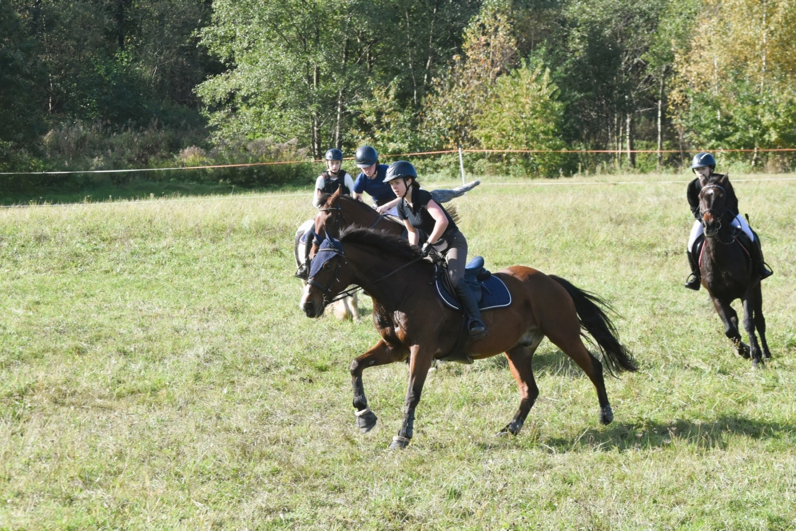Zdjęcie w galerii na portalu naszwodzislaw.com: Pogonią za lisem zakończyli sezon jeździecki wiadomości z regionu
