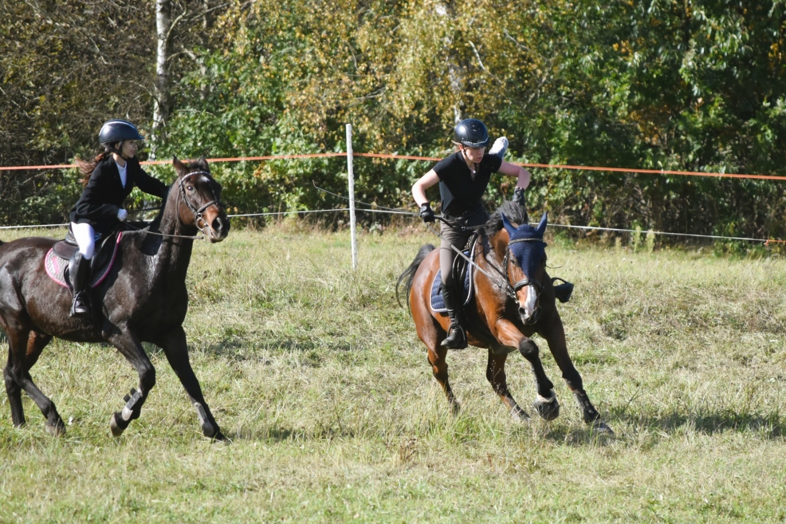 Zdjęcie w galerii na portalu naszwodzislaw.com: Pogonią za lisem zakończyli sezon jeździecki wiadomości z regionu