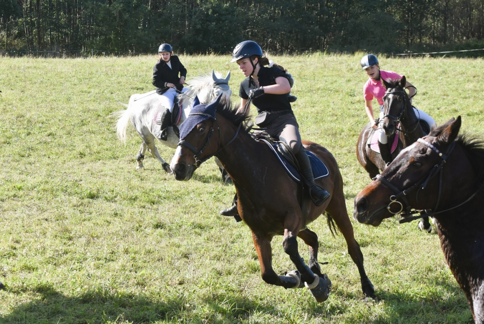 Zdjęcie w galerii na portalu naszwodzislaw.com: Pogonią za lisem zakończyli sezon jeździecki wiadomości z regionu