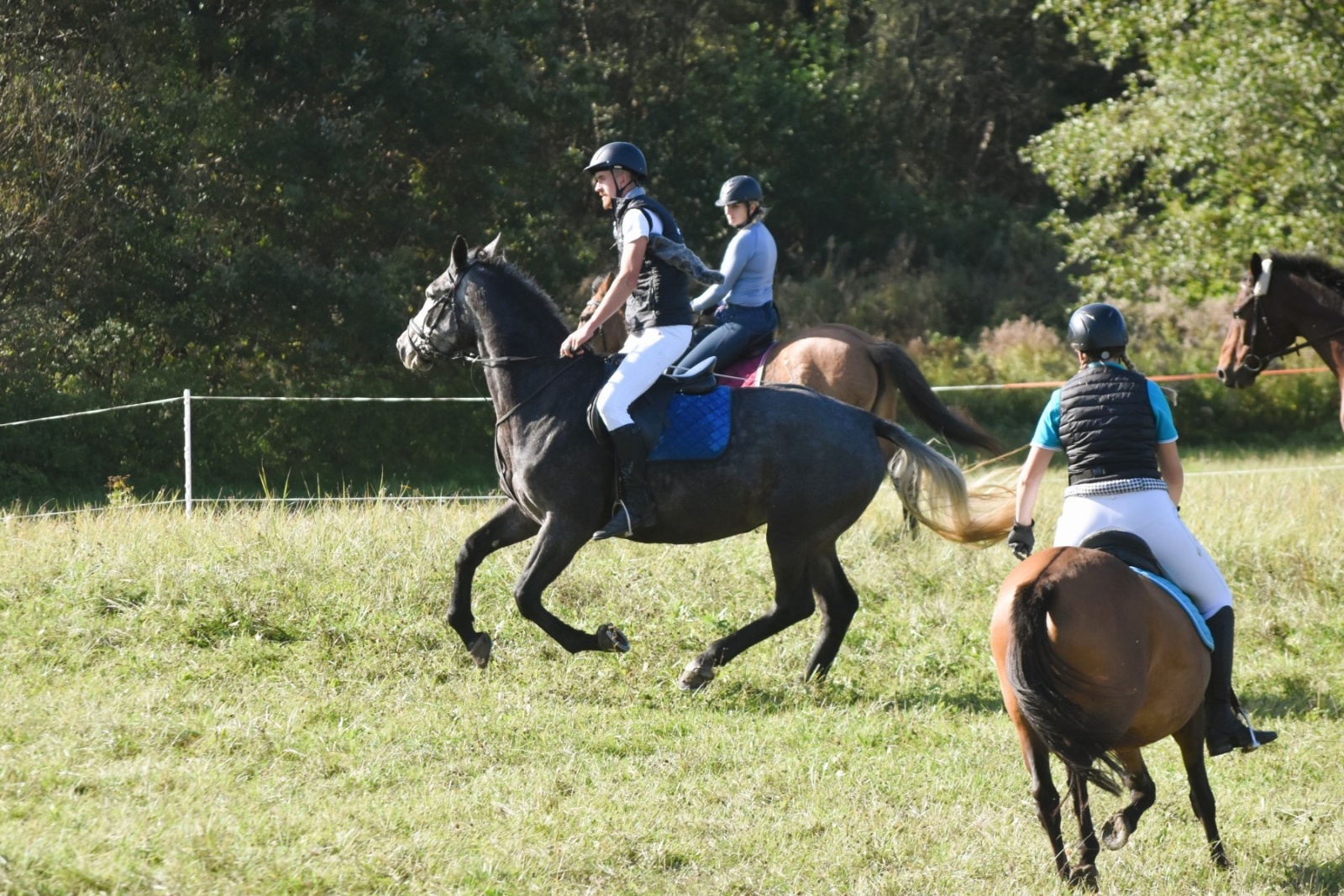 Zdjęcie w galerii na portalu naszwodzislaw.com: Pogonią za lisem zakończyli sezon jeździecki wiadomości z regionu