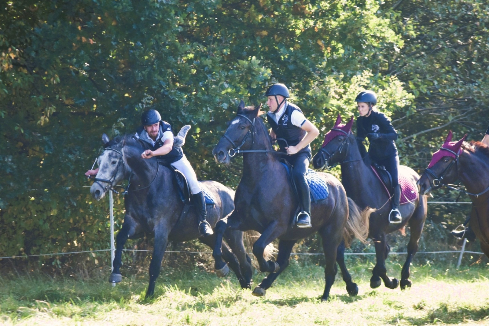 Zdjęcie w galerii na portalu naszwodzislaw.com: Pogonią za lisem zakończyli sezon jeździecki wiadomości z regionu