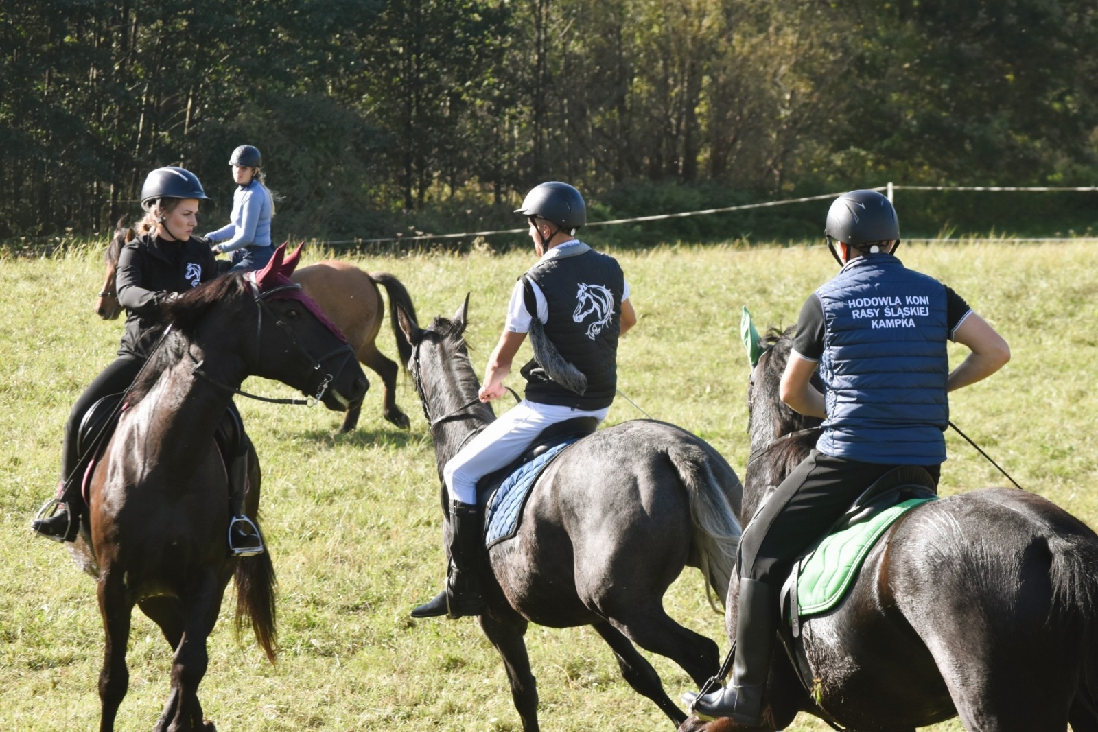 Zdjęcie w galerii na portalu naszwodzislaw.com: Pogonią za lisem zakończyli sezon jeździecki wiadomości z regionu