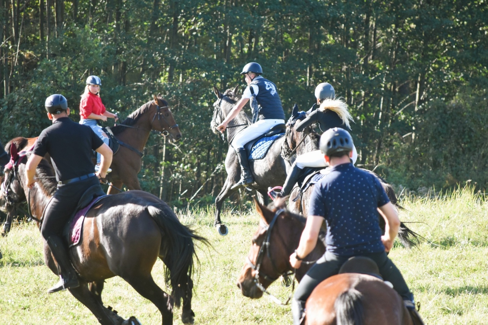 Zdjęcie w galerii na portalu naszwodzislaw.com: Pogonią za lisem zakończyli sezon jeździecki wiadomości z regionu