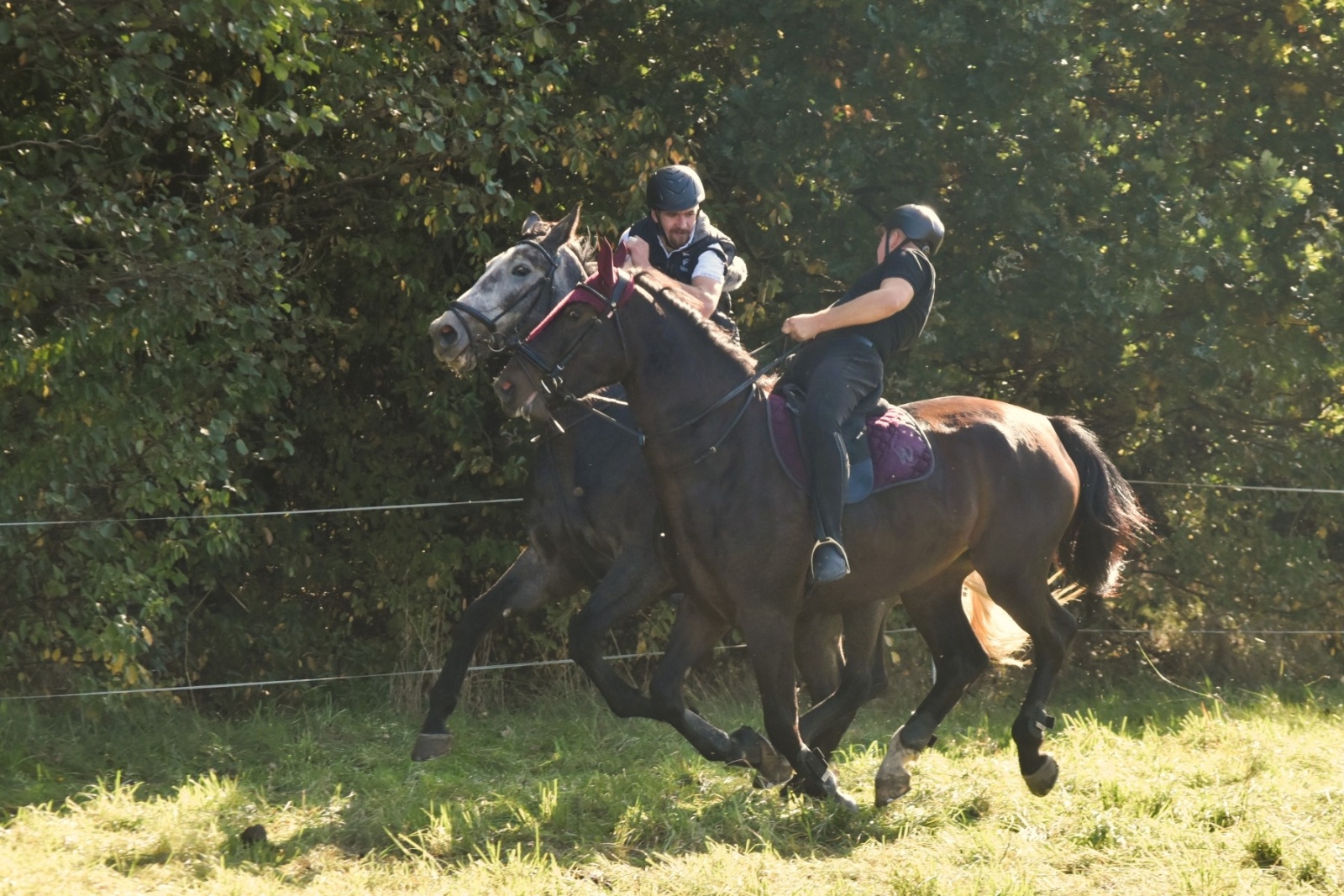 Zdjęcie w galerii na portalu naszwodzislaw.com: Pogonią za lisem zakończyli sezon jeździecki wiadomości z regionu