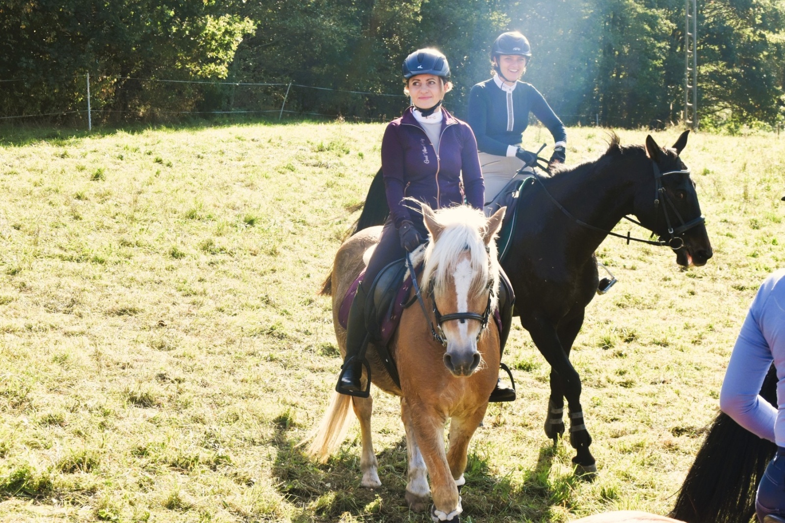 Zdjęcie w galerii na portalu naszwodzislaw.com: Pogonią za lisem zakończyli sezon jeździecki wiadomości z regionu