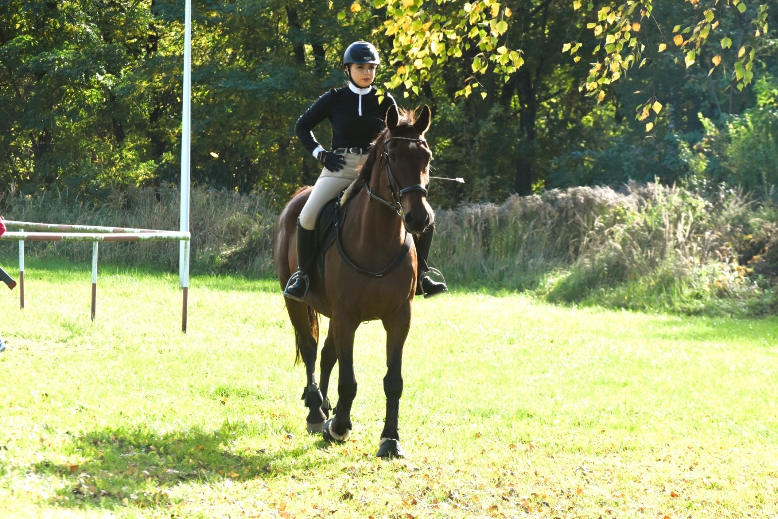 Zdjęcie w galerii na portalu naszwodzislaw.com: Pogonią za lisem zakończyli sezon jeździecki wiadomości z regionu