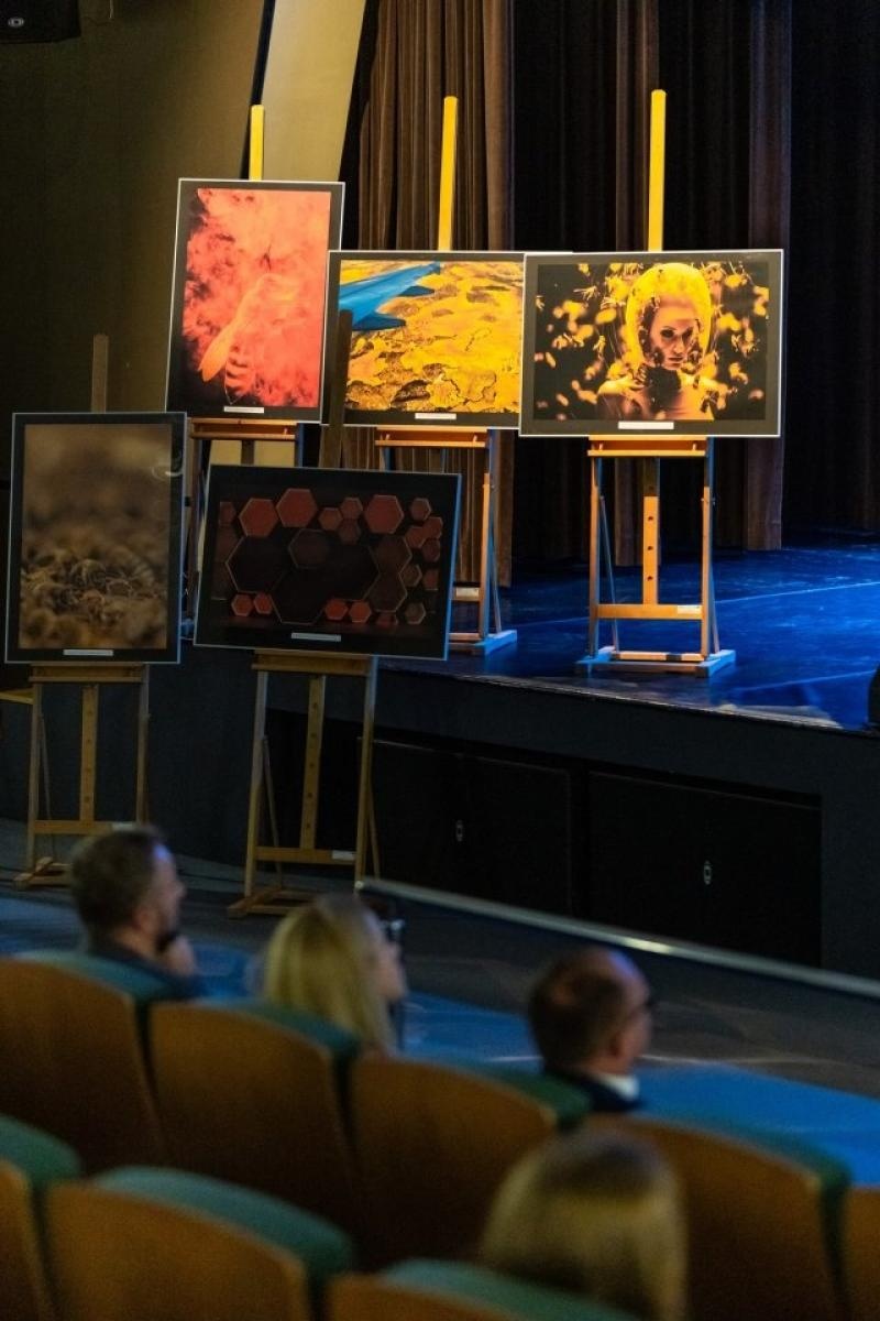 Zdjęcie w galerii na portalu naszwodzislaw.com: To Bee or not to Bee. Poznajmy zwycięzców konkursu wiadomości z regionu