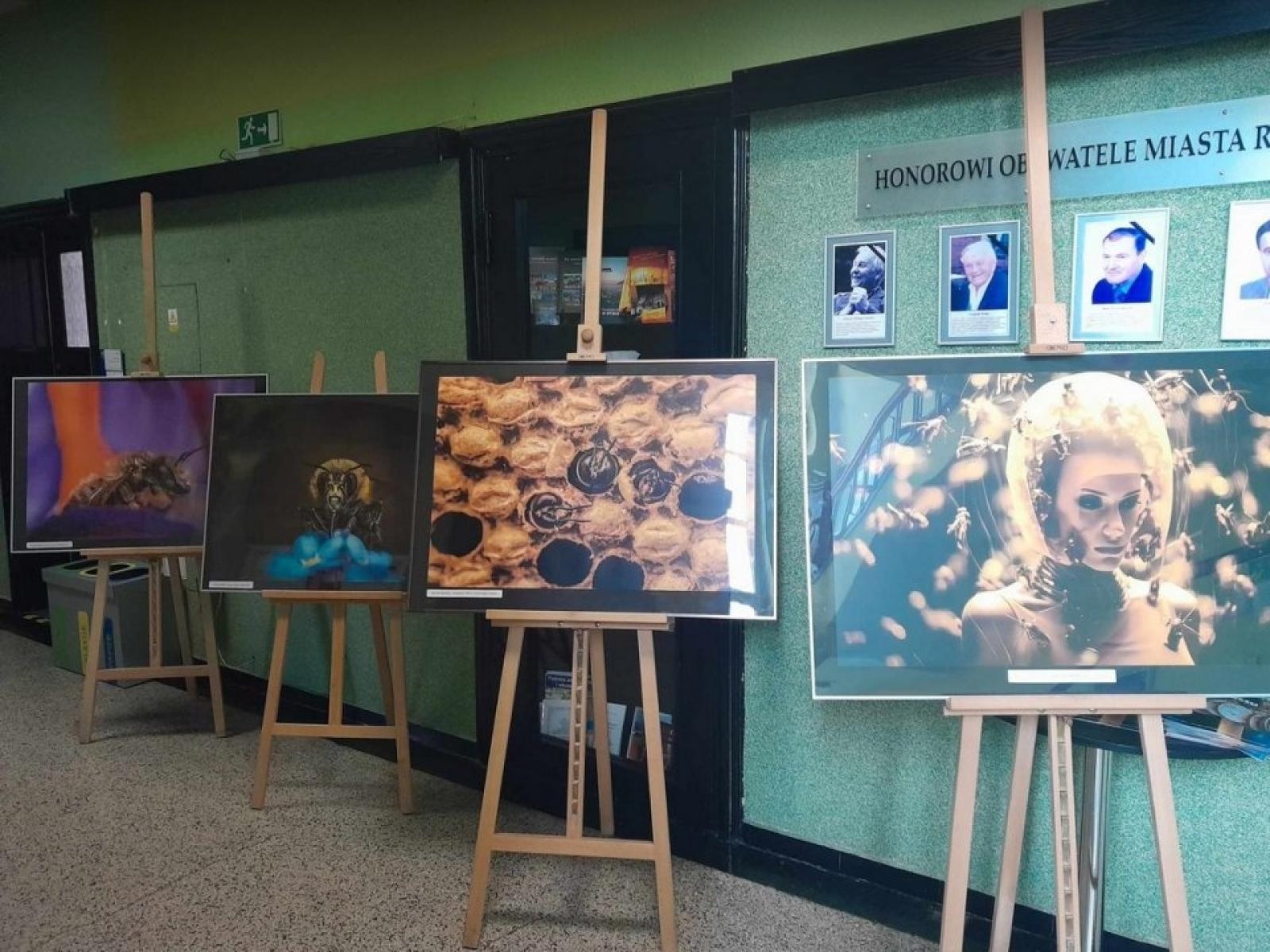 Zdjęcie w galerii na portalu naszwodzislaw.com: To Bee or not to Bee. Poznajmy zwycięzców konkursu wiadomości z regionu