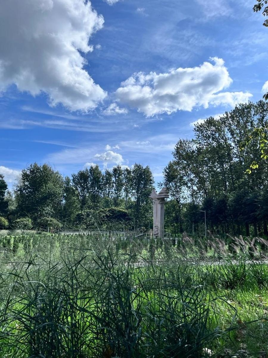 Zdjęcie w galerii na portalu naszwodzislaw.com: Radlin. Park Jordanowski w budowie wiadomości z regionu