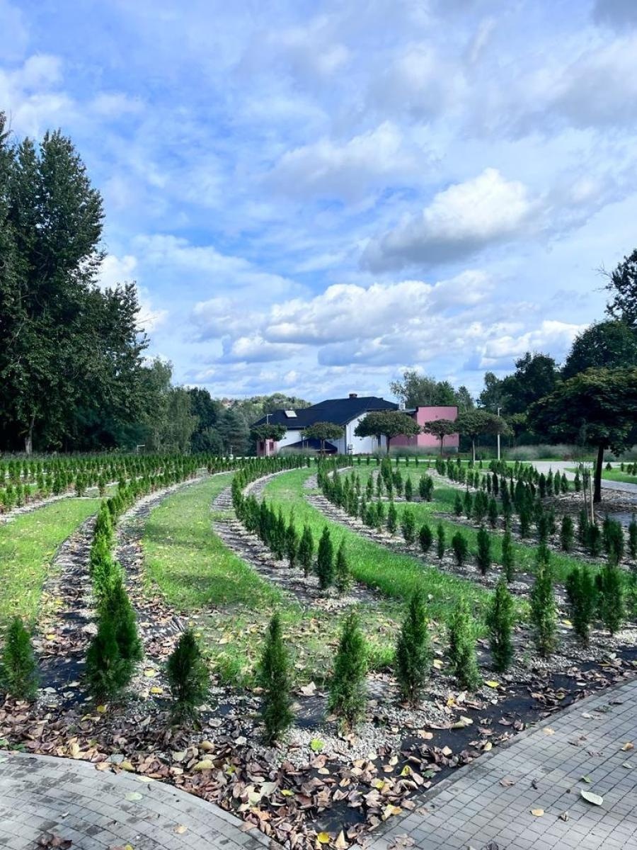 Zdjęcie w galerii na portalu naszwodzislaw.com: Radlin. Park Jordanowski w budowie wiadomości z regionu